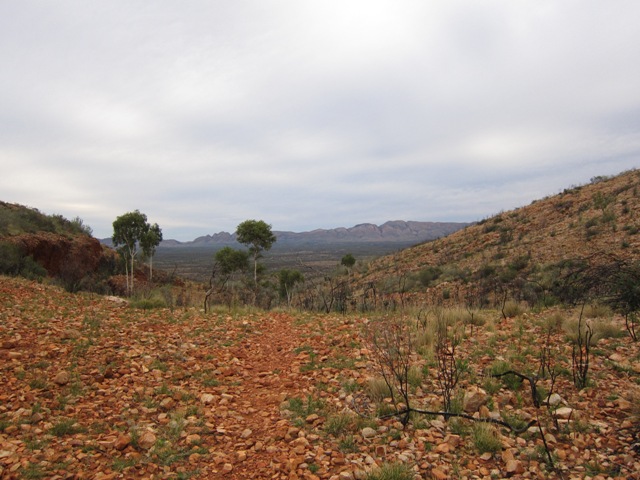 Looking towards the Chewings Range from the Heavitree Range.JPG