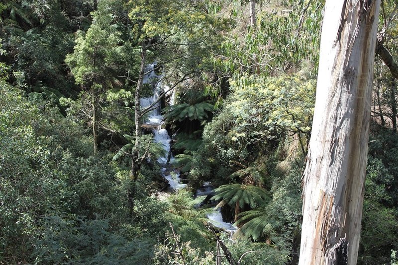 Currajung Falls.jpg