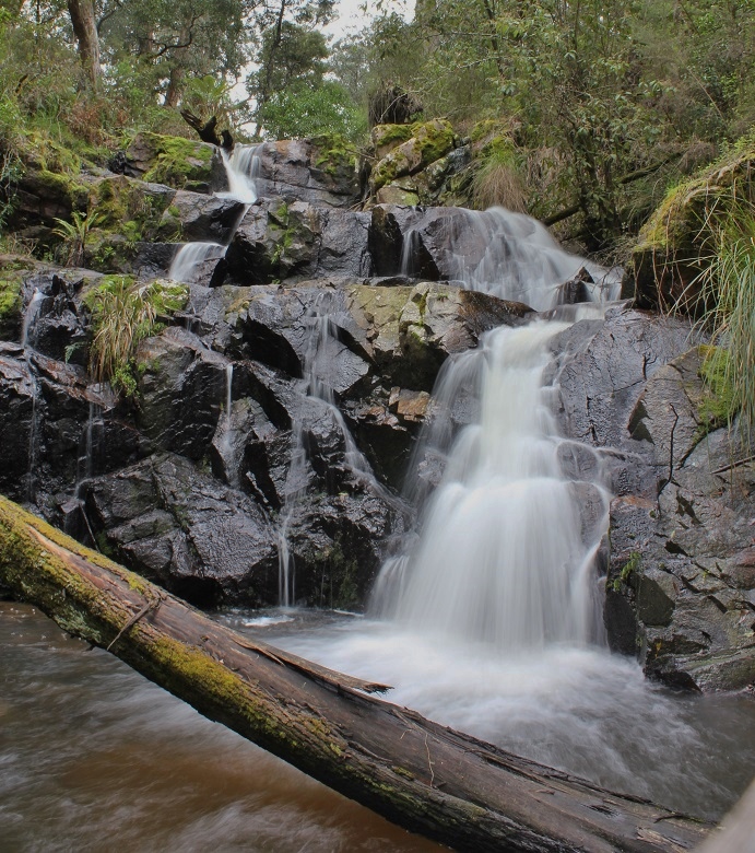 Wileman Falls.jpg