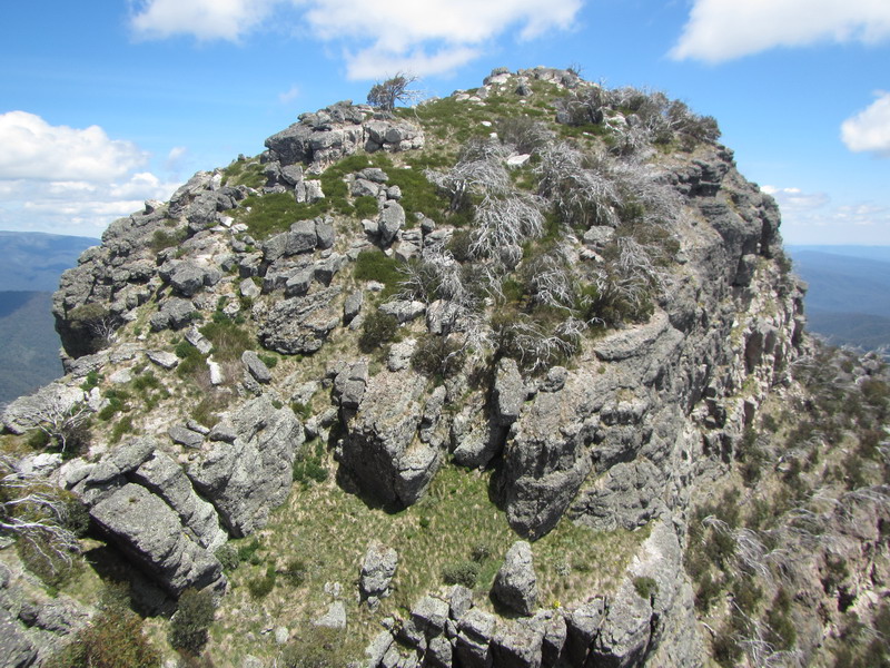 Mt Cobbler  Summit.jpg