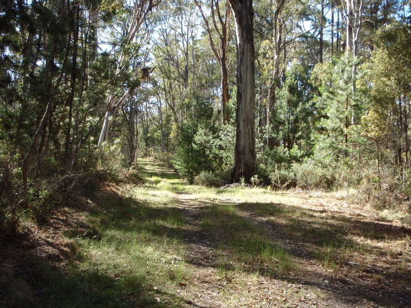 PC300469.JPG