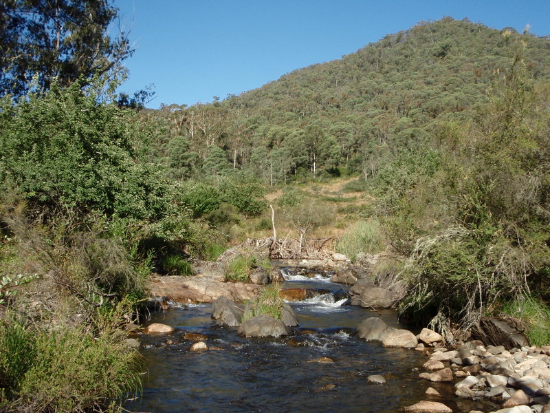 PC300489.JPG