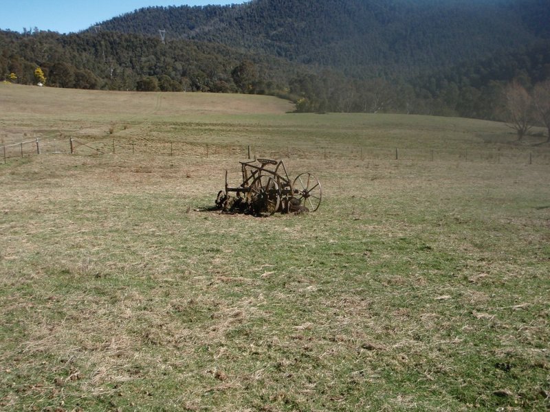 P8240373 (Medium).JPG