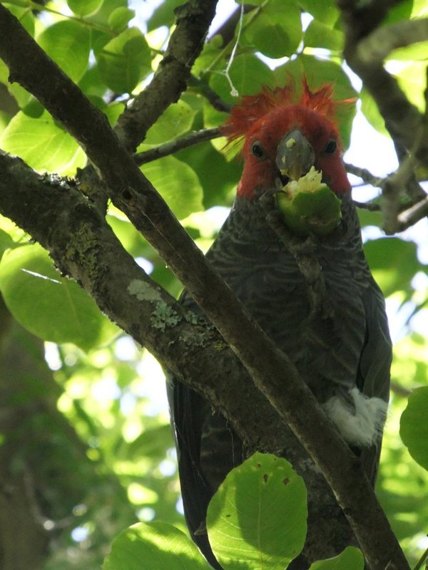 DSCF4406.JPG