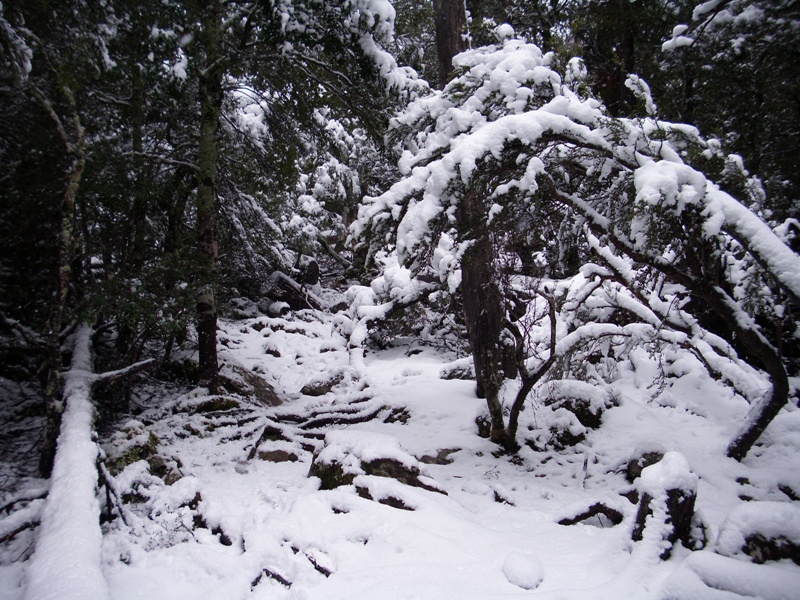 Not Meander Falls 3.jpg