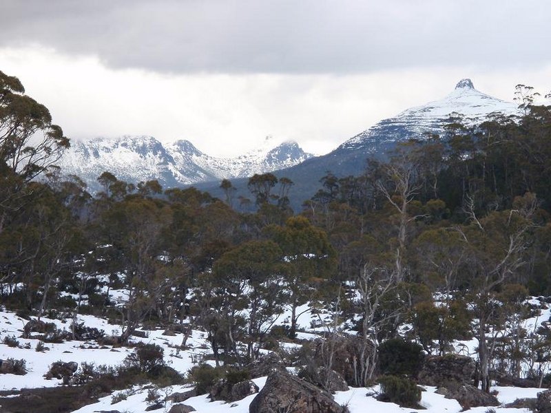 Arm River Track.JPG