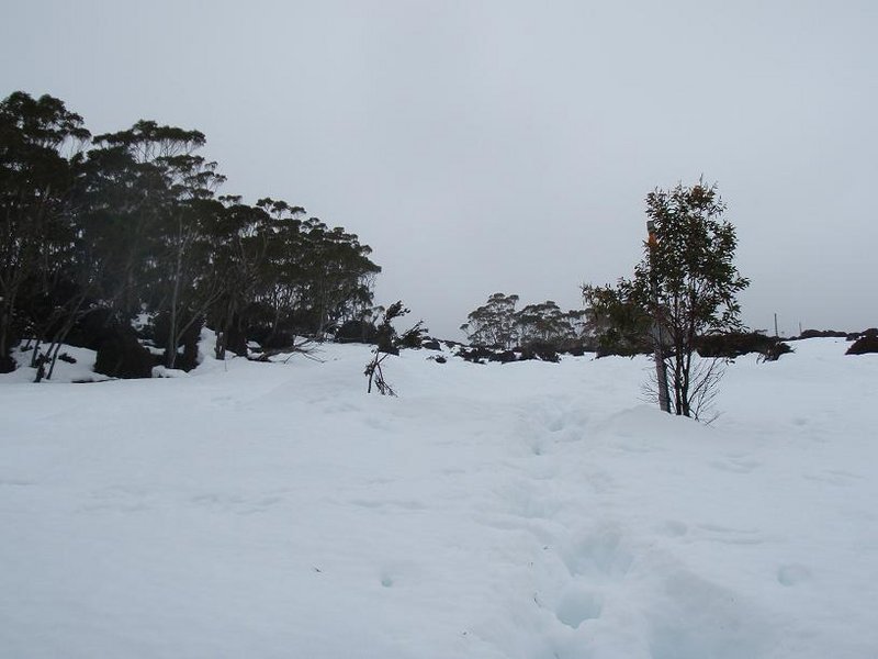Pelion Gap.JPG