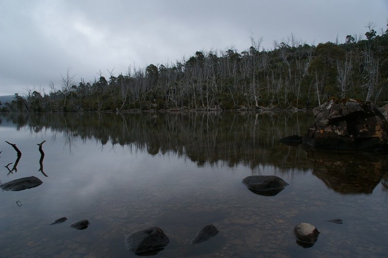 IMGP3851.JPG
