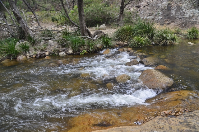 Mount Barney Creek (5).jpg