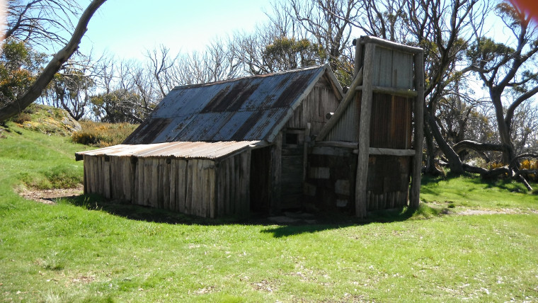 Wallace's Hut.jpg