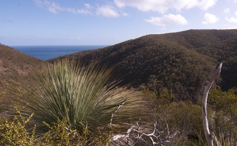 1 to Boat Harbour Beach.jpg