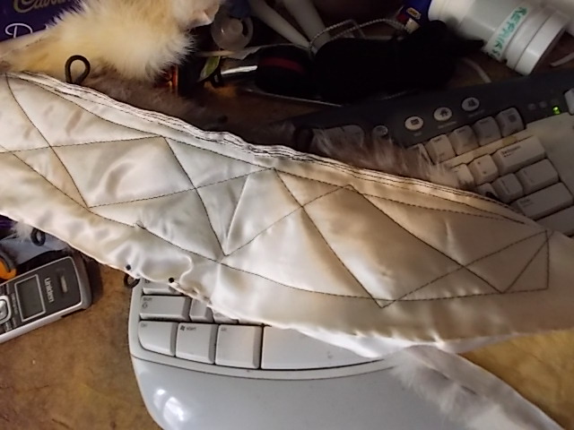 DSCN0544.JPG