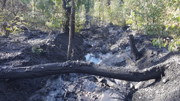 Polluted gully downstream from Clarence Colliery.jpg