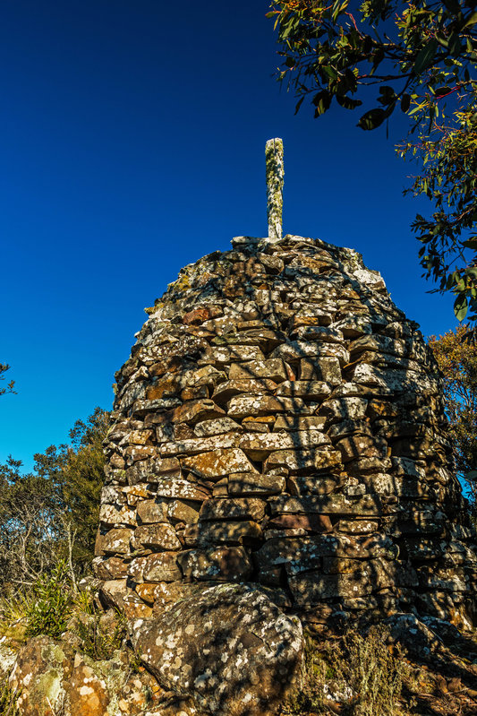 d2543c.jpg