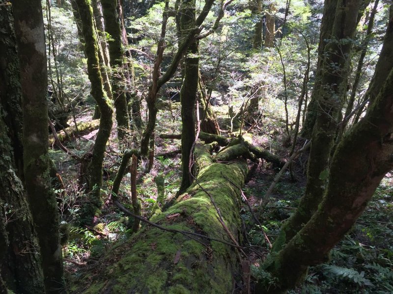 20151024_021654757_iOS-small.jpg