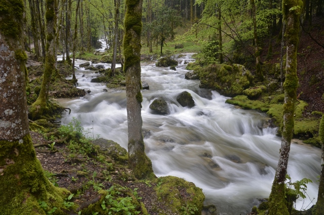 France 2013 - days 22,23,24 Cascades du Herisson 153 (640x424).jpg