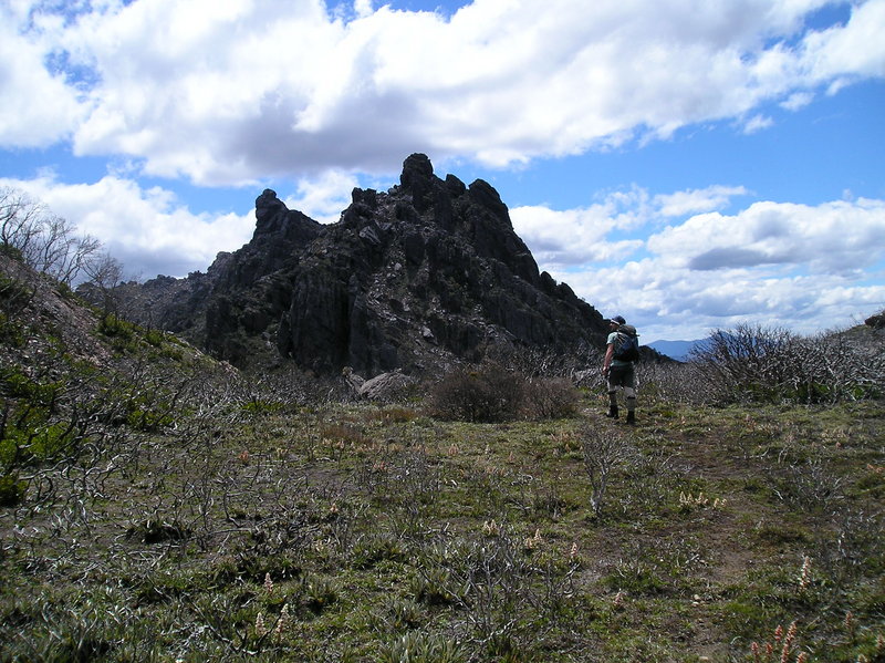 P1010034.JPG