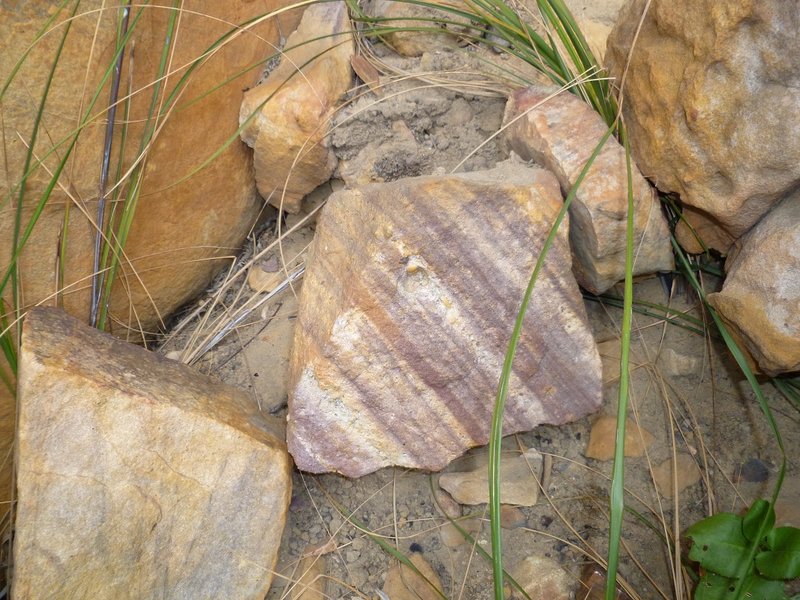 Rocks in the gully.jpg