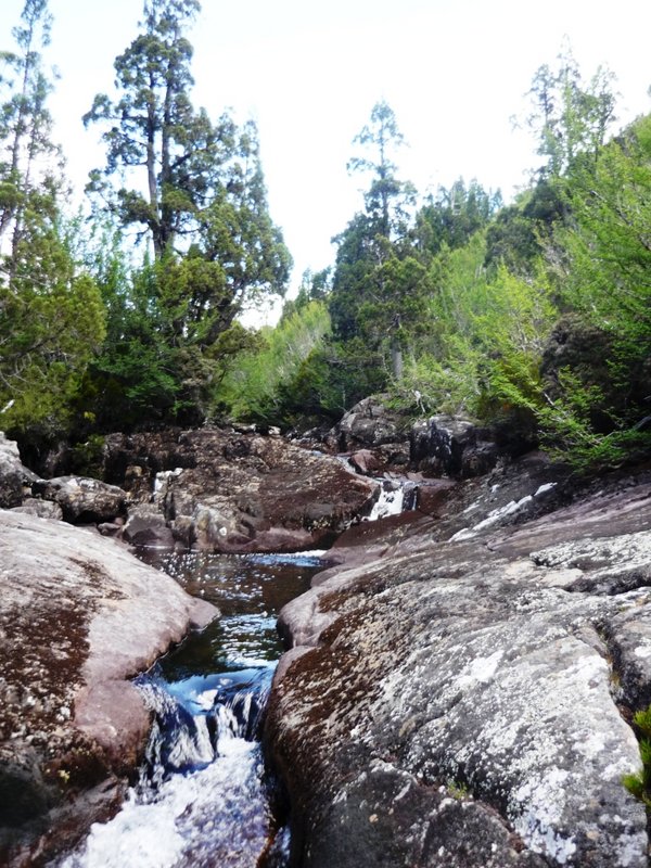 Creek (2).jpg