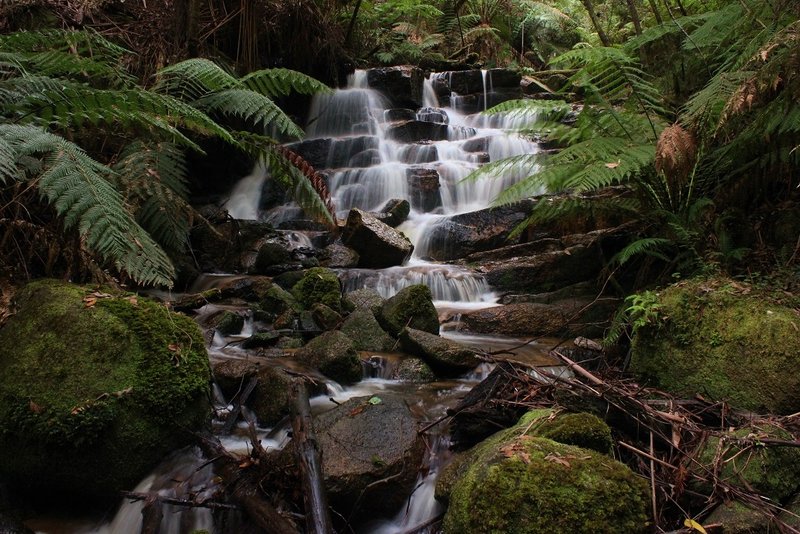 Learmonth Falls Upper.jpg