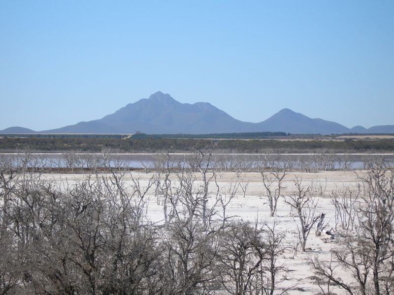 StirlingRanges1.jpg