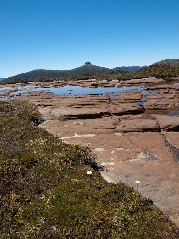 Thetis High Saddle.jpg