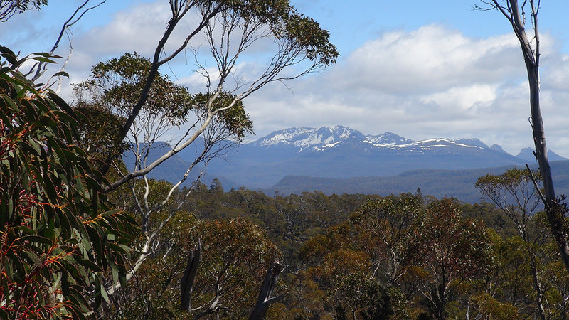 looking west to the olt.jpg