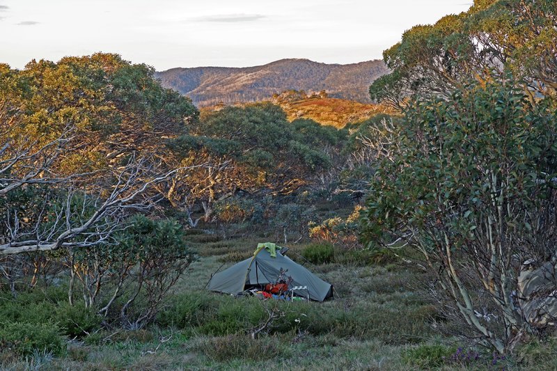 7680campsite.jpg