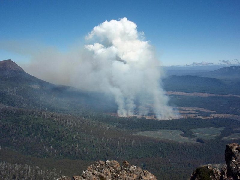FT burn Field West.JPG