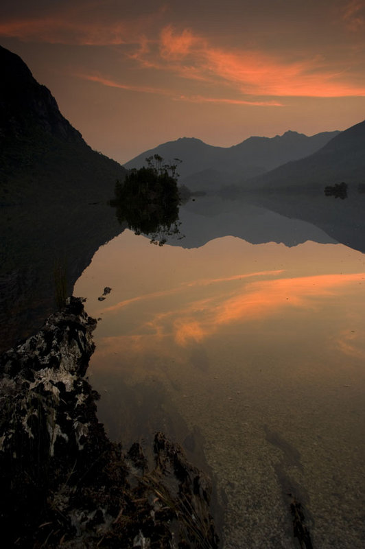 evening reflections on curly.jpg