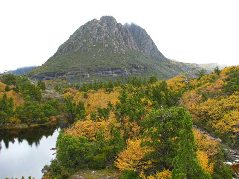 CRADLE-MT-117.jpg
