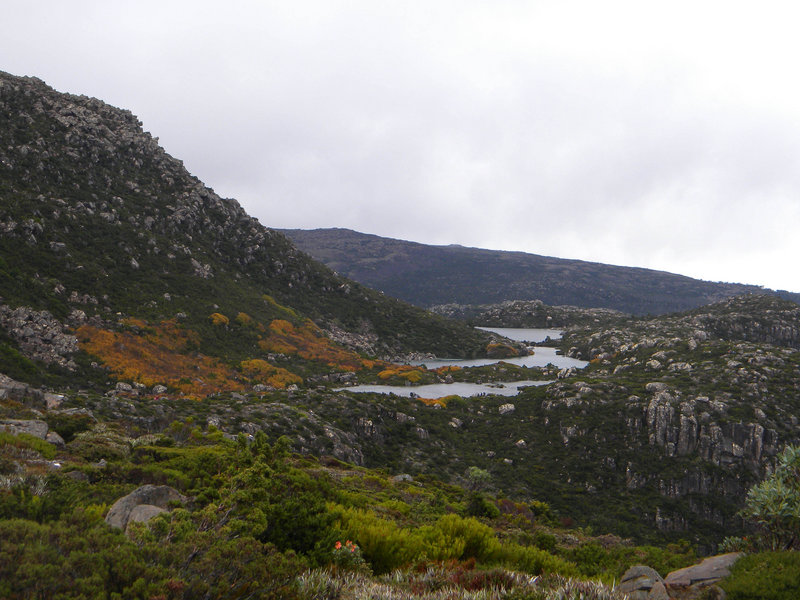 DSCN1669a.jpg