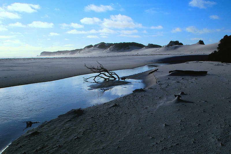Noyhener_Beach_2003.jpg