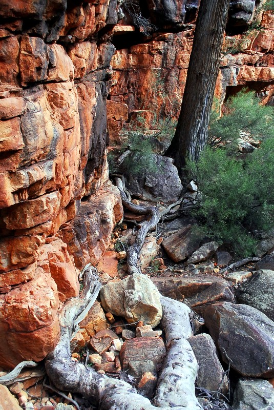 The trip - Flinders Ranges - Malloga Falls Hike 171 sp.jpg sm.jpg