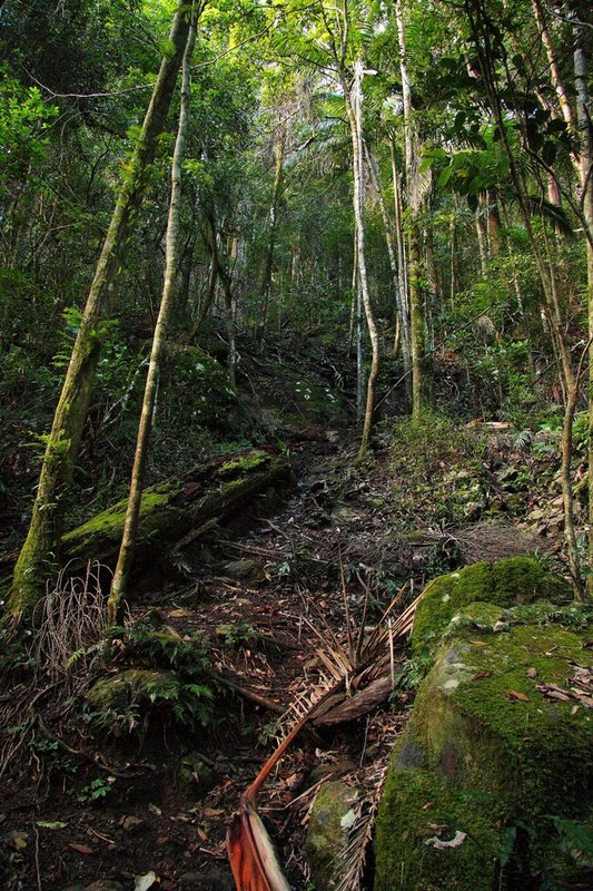 001 Start of the climb up the ridge.JPG