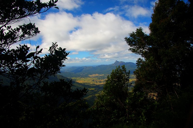 010 Mt Warning from Point Lookout.JPG