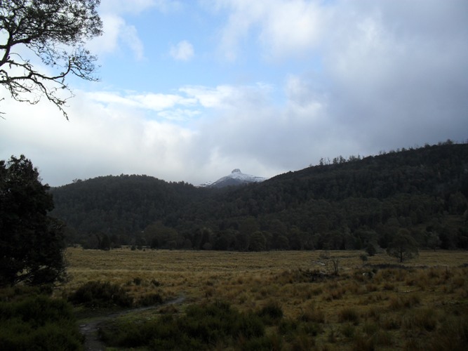 Lee's paddock with Barn bluff in background.JPG