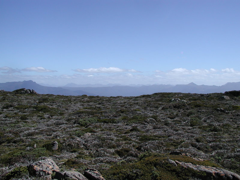 picture115.JPG