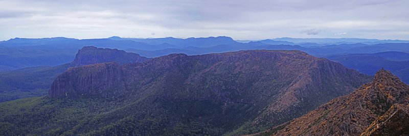 9611Pan.jpg