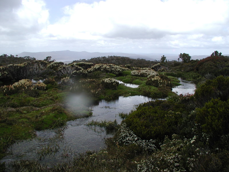 picture116.JPG