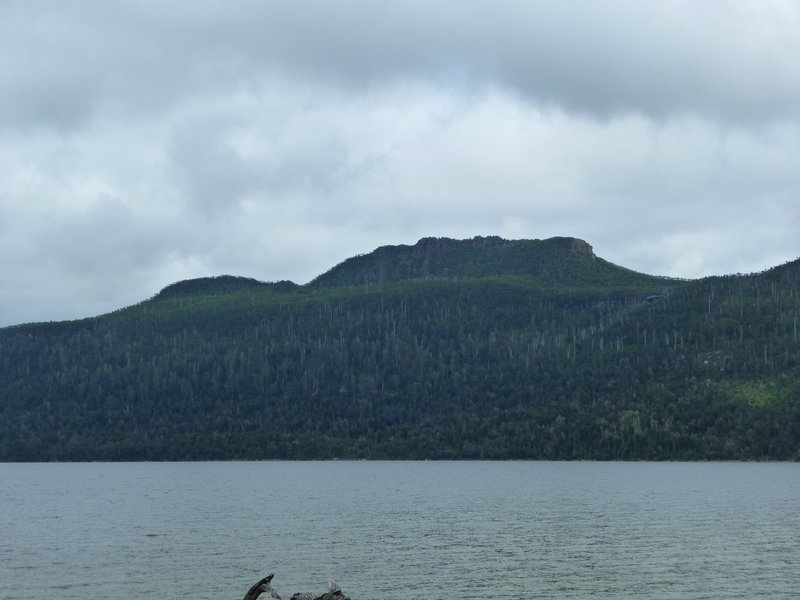 picture117.JPG
