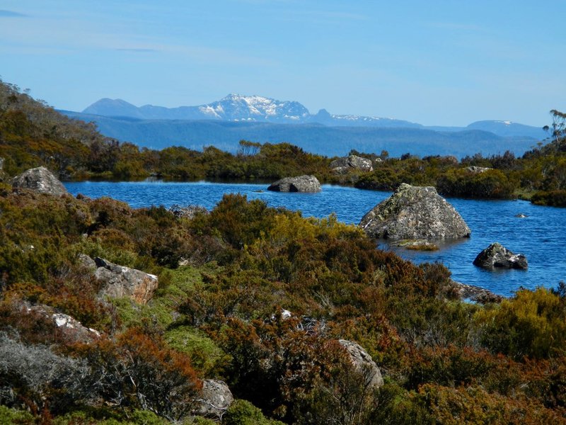 DSCN1531.jpg