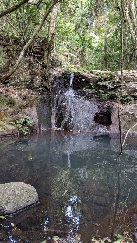 Small falls Dalrymple creek Cascades Circuit.jpg