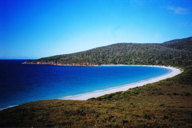 Tasscan5295.jpg
