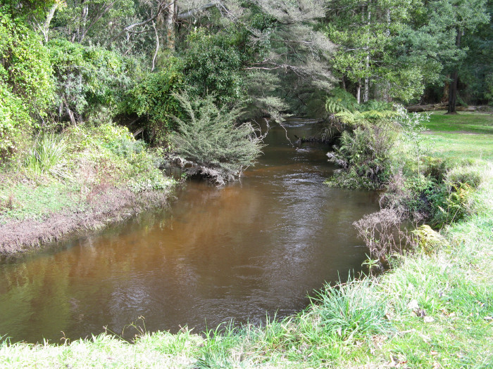 Latrobe River.jpg