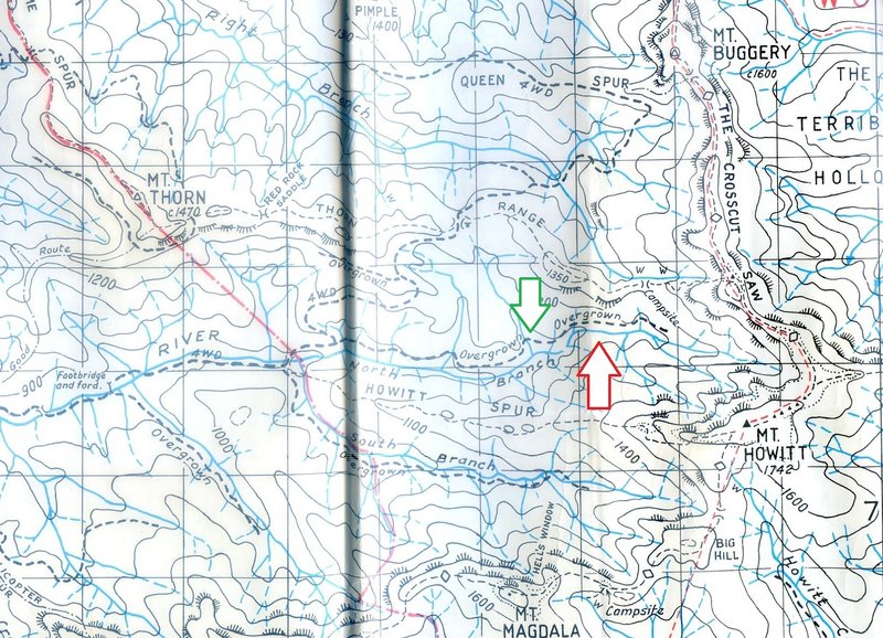 Mt_Howitt_old_logging_track002 - Copy.jpg