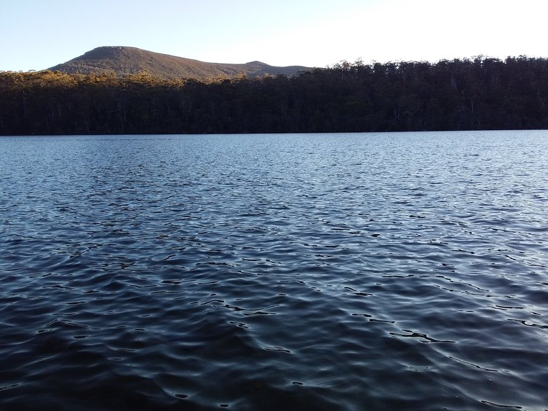 20210120_194435.jpg