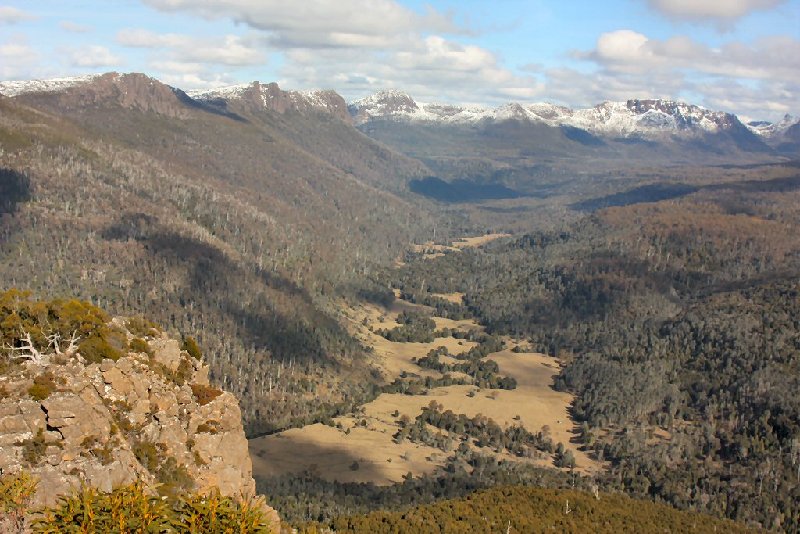 Lees Paddocks.JPG