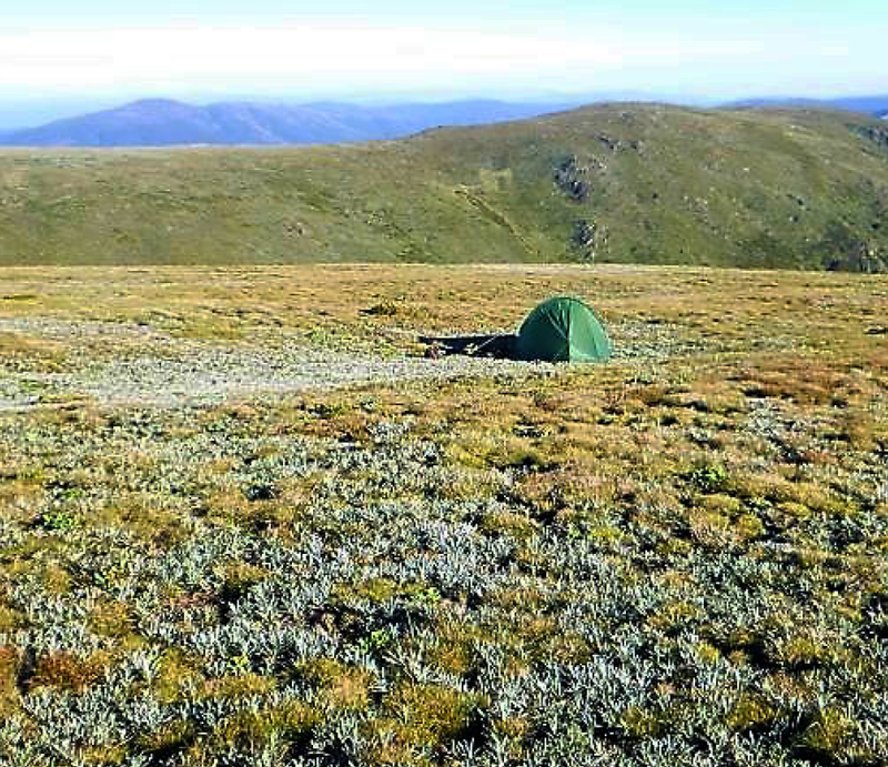 Bogong site.png