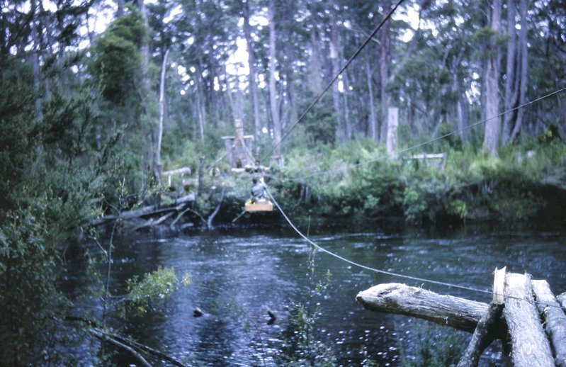 Flying_Fox_over_Gordon_River_-_panoramio.jpg